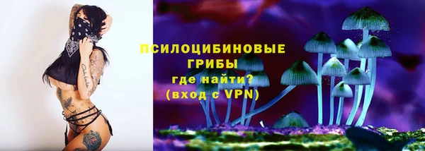 спиды Липки