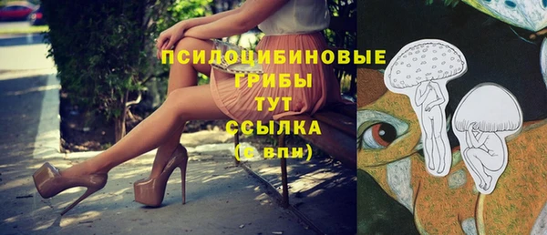 первитин Лиски